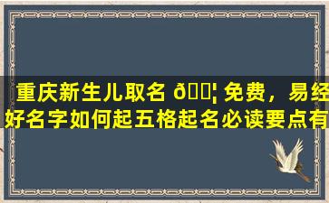 重庆新生儿取名 🐦 免费，易经好名字如何起五格起名必读要点有哪些